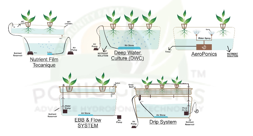 Types of Hydroponic Systems 