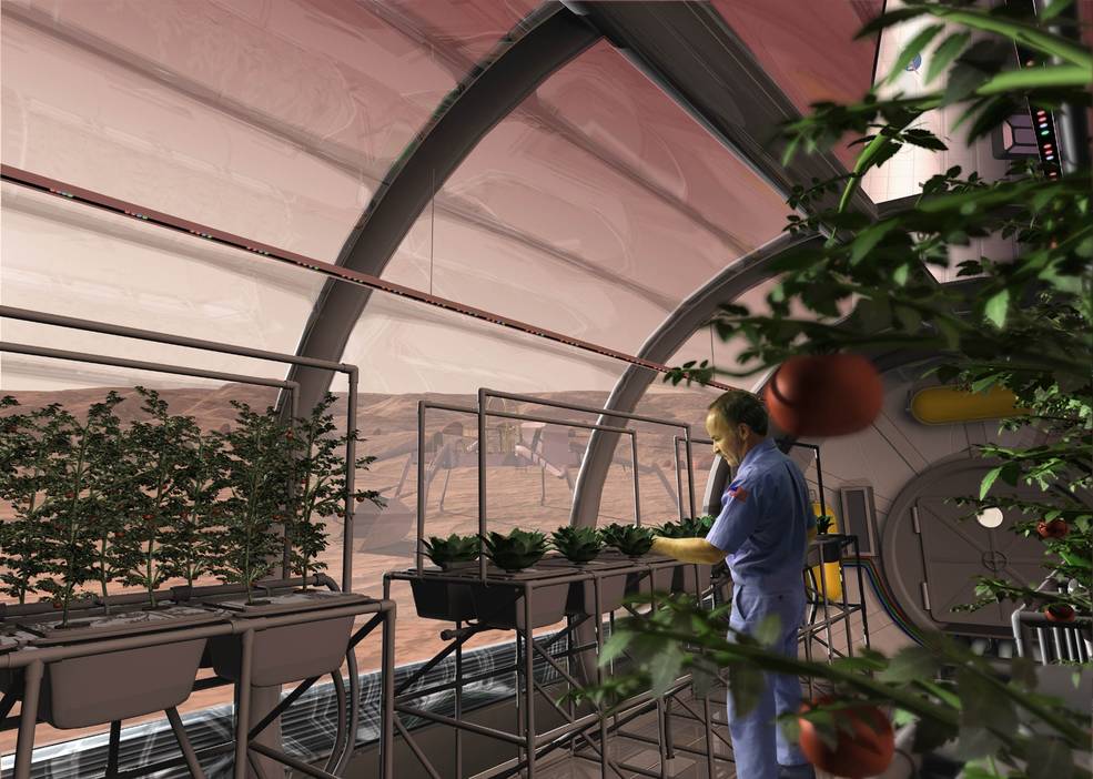 Hydroponics In Space 