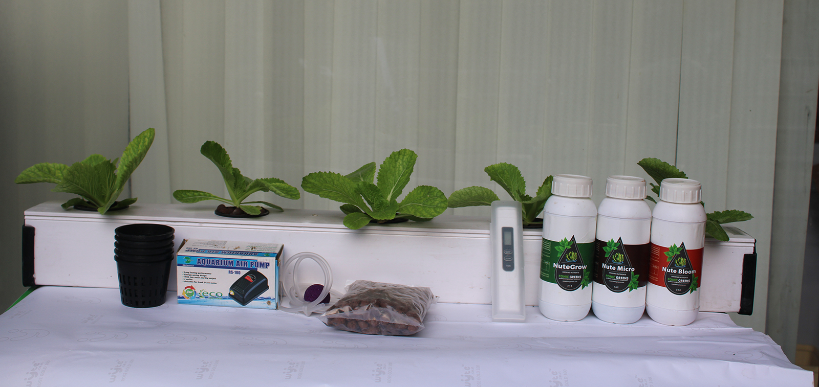 How to make a DIY Hydroponic system step by step