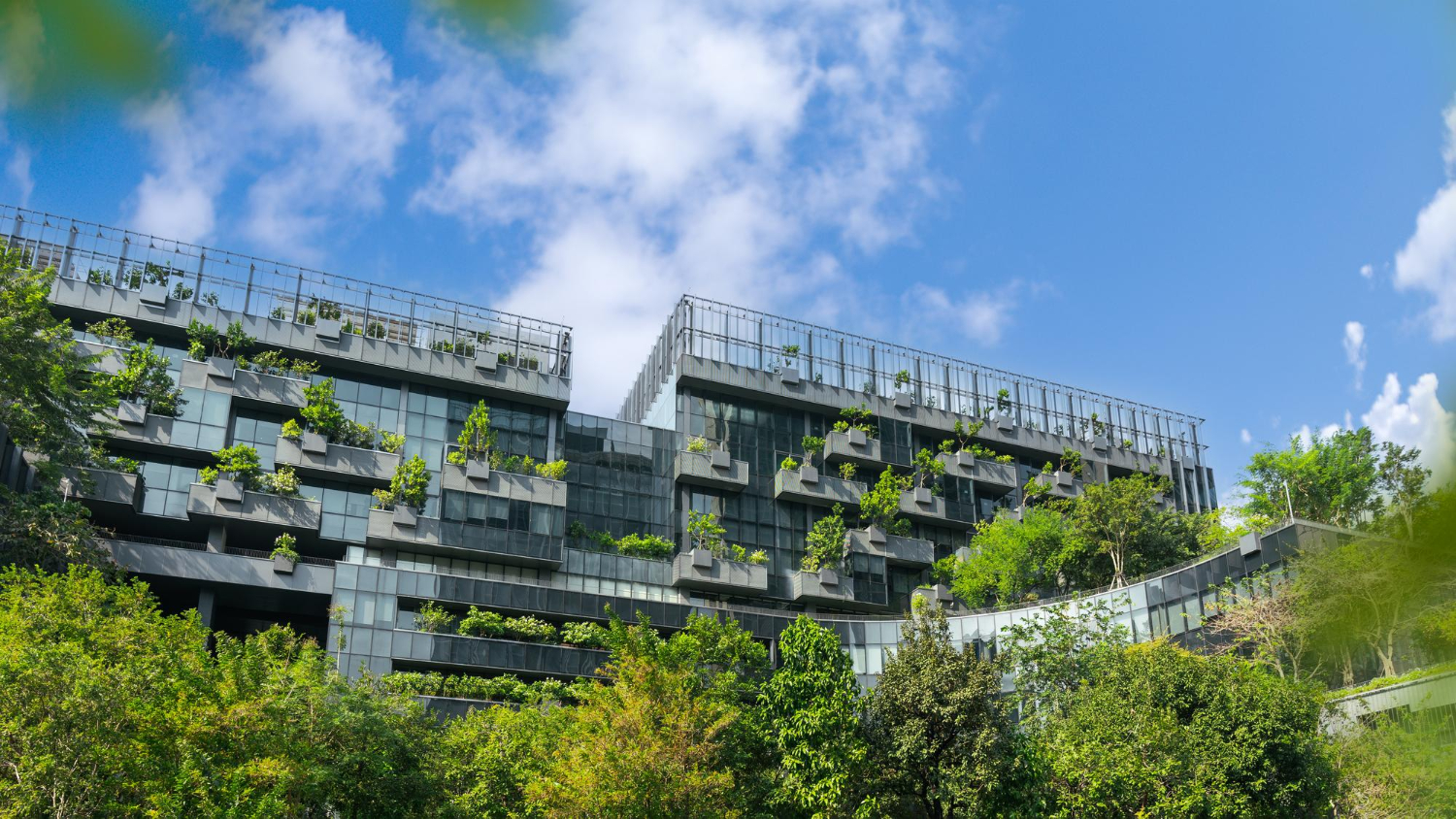 Urban Farming Solutions for Apartments and Villas in Gurugram