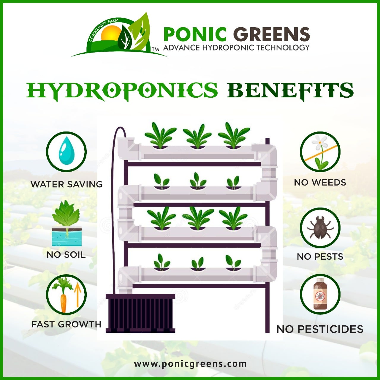 Advantages Of Hydroponic Farming Top Benefits Of Hydroponic Farming