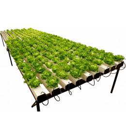 Pro Ponic Grower NFT System ( 290 Plant Kit )