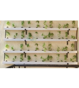Vegetable Wall Garden ( 40 Plant System )