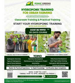 20-Day Advanced Hydroponic Training Course for Urban Farming